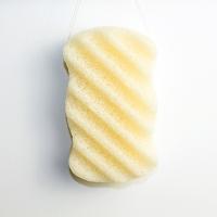 Poro profundo do ALCANCE que limpa a esponja inoperante de Exfoliator da pele para lavar o corpo