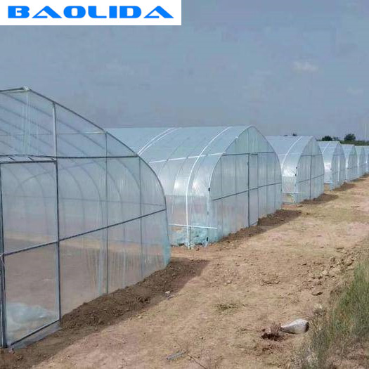 Свод купола пластмасса тоннеля парника полиэтиленовой пленки Одно-пяди 200 микронов