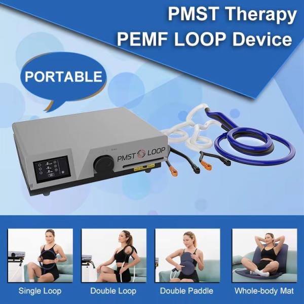 EMTT Pemf Magnetic Mat Physio Magneto Therapy Pmst Loop Machine