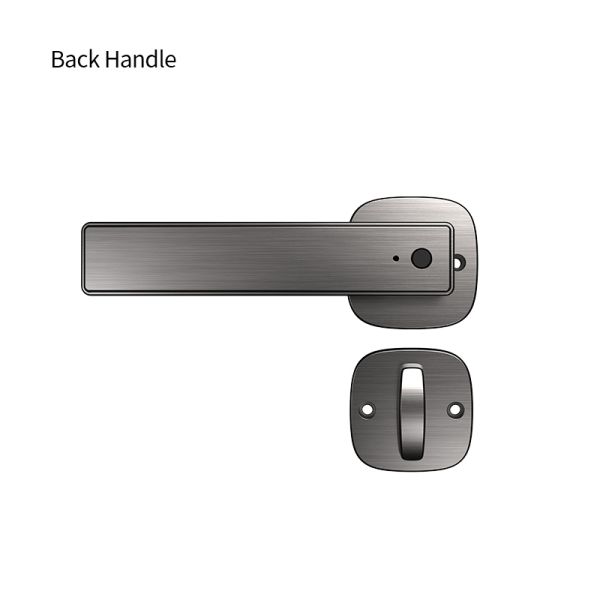 Tuya Smart Lock Fingerprint Password Key Durable Aluminum Alloy Construction Auto Lock Easy Installation Door Lock