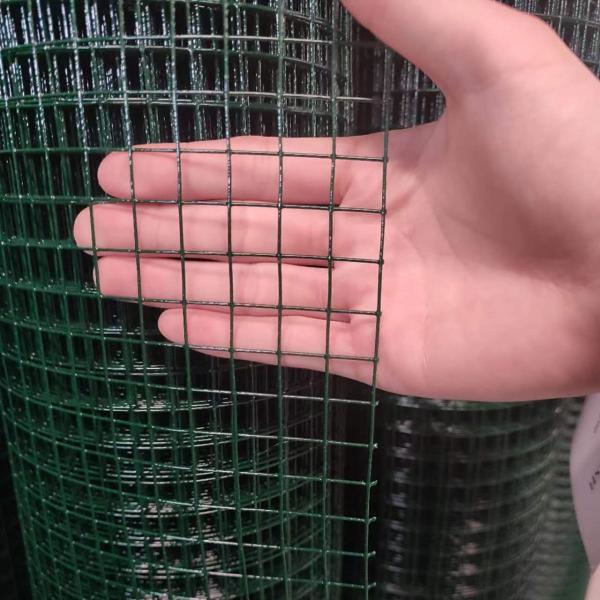 Best Pvc Coated Stainless Steel Chicken Cage Welded Wire Mesh Rolls Length 5-50m Made