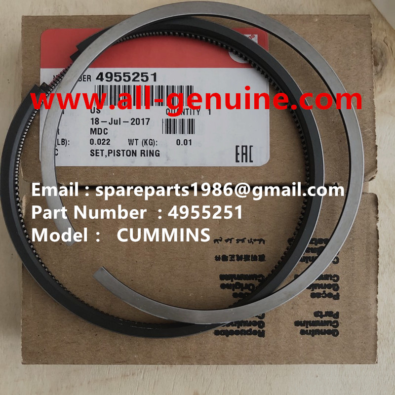 4955251 SET PISTON RING  ENGINE TEREX NHL DUMP TRUCK  TR35 TR50 TR60 TR100 3305B 3305F 3303 3307 TR45 TR70 MT4400