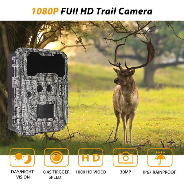 Горячей продажи двойная объектива камера 30MP следа версии почти, 1080P высокое разрешение 940nm отсутствие зарева водоустойчивого IP65