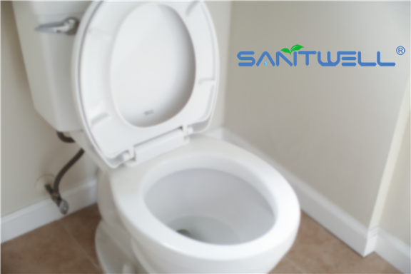 Приток шара туалета wc Bathroom Sanitwell SWJ1125MB матовый черный rimless