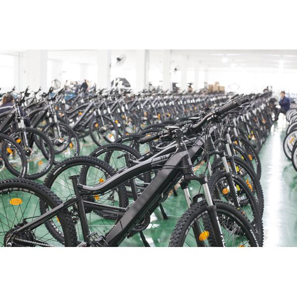 lithium electric mountain biycles,mountain bike electric motor 36V 250W,Tekto brakes