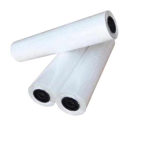 Double Side Hot Peel 30cm 33cm 43cm 60cm Roll DTF PET Film For I3200 Dtf Printer