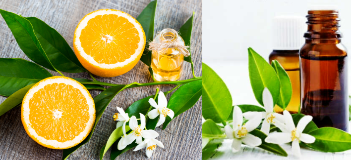 Soy Candle Fragrances Oil Sea breeze &Neroli Fragrance  Oil For Scented Candle Production With Free Sample