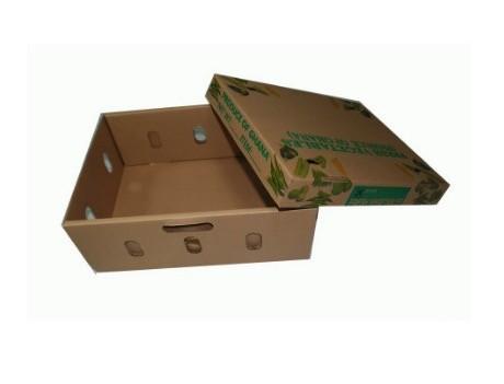 Eco - Friendly Vegetables Packing Boxes , Plain Cardboard Boxes For Food Packaging