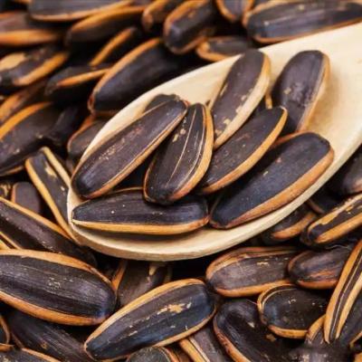Snacks Fábrica Processo sabor de caramelo Caramelo cozido Salgado Sementes de girassol assadas