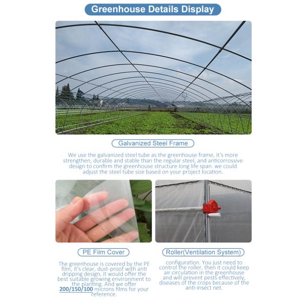 Одиночный пядь 150/200 микрон теплиц полиэтиленовой пленки пленки ПЭ аграрное вертикальное земледелие