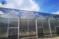 High Yield Farming Polycarbonate Greenhouse Fruit And Vegetable Greenhouse