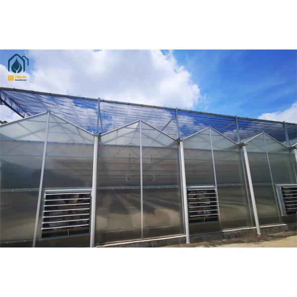 High Yield Farming Polycarbonate Greenhouse UV Resistant Flower Farm Greenhouse