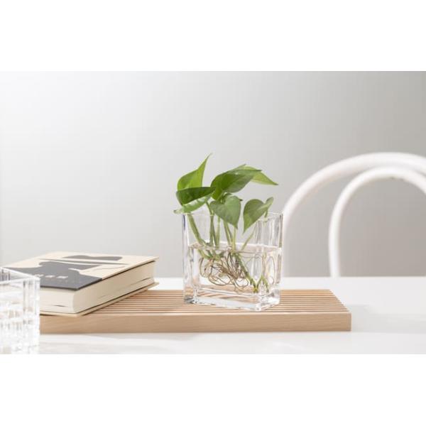 Transparent 350ml Home Decoration Glass Pressed Small Rectangle Glass Vase