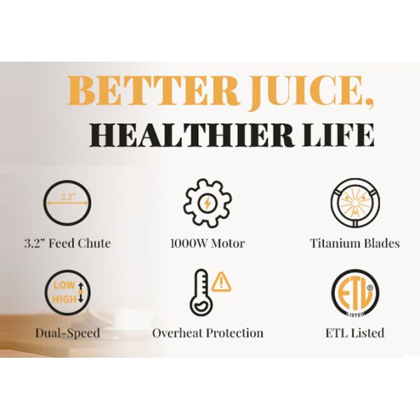 Household All In One Juicer Machine Wide Chute Stainless Steel Construction
