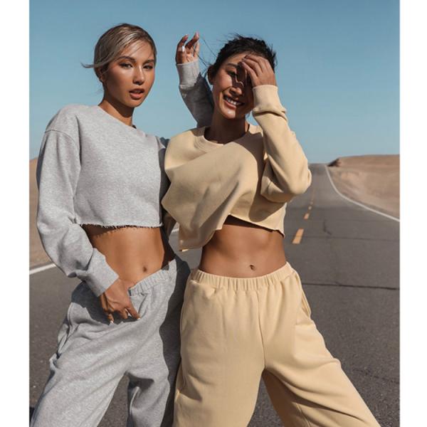 Рукав моды длинный вокруг верхней части урожая полиэстера хлопка шеи