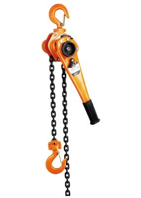 Tipo Chain do equipamento de levantamento HSH-V da grua da alavanca do elevado desempenho