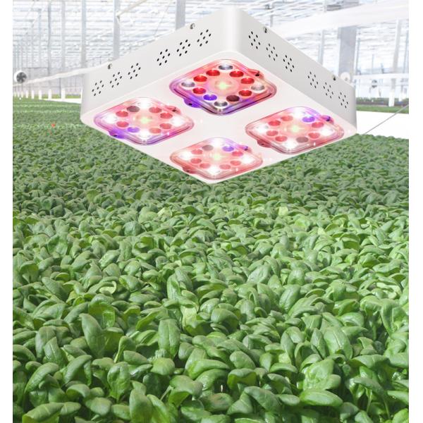 PMMA Optics SMD3030 P120 120W Led Plant Grow Light