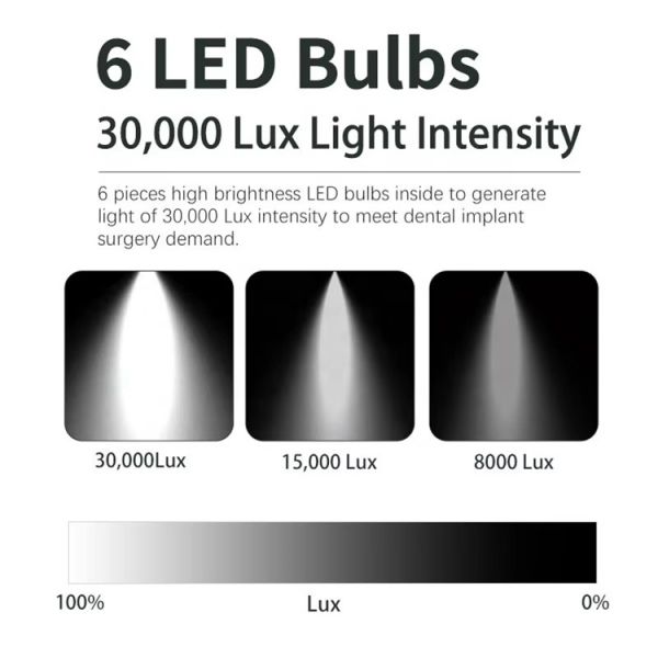 Dental Operation Light Shadowless 6 LED Oral Lamp for Dental Chair 30000 Lux Dental Surgery Lighting