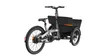 Automotive-Grade Roll Steering Electric Bicycle with Smooth Handling