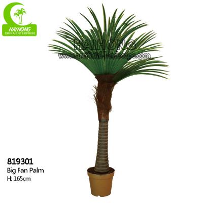 Árvore tropical artificial do fã 165cm grande de imitação alto luxuosa