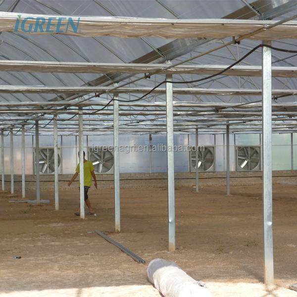 Vegetable Garden Large Greenhouse Kit 30X100 Metal Frame Large Greenhouse Kit