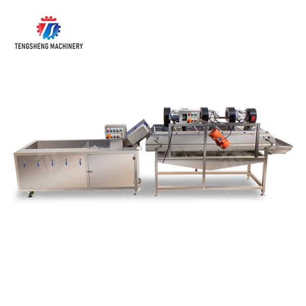 Bubble washing vibration air drying production line Orange Vegetable Herbs Fruit processing production Machine