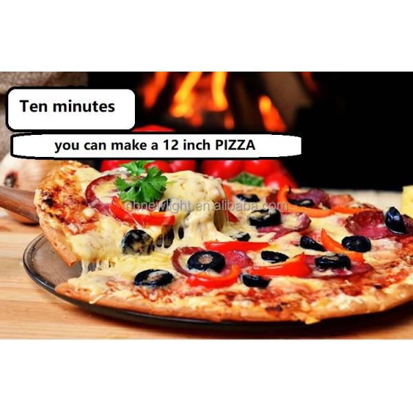 Rotisserie Roaster Propane Grill with Tabletop Pizza Maker and Stainless Steel Housing