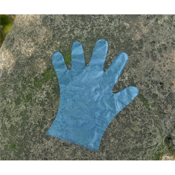 Не токсический домочадец очищая устранимые перчатки TPE