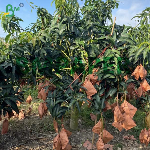 56gm Sacs de protection à l' eau résistant à l' eau à la mangue respirante enduit de cire papier extérieur jaune et options noires