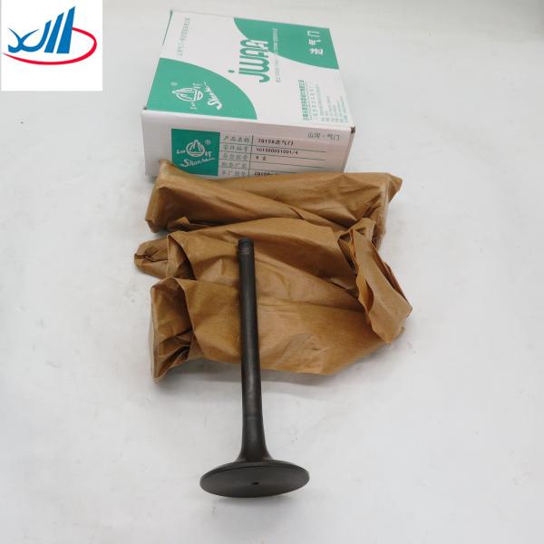 cars and trucks vehicle good performance Air intake valve VG1560051001/4