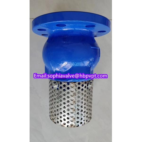 150lb ANSI stainless steel screen cast iron flanged foot valve