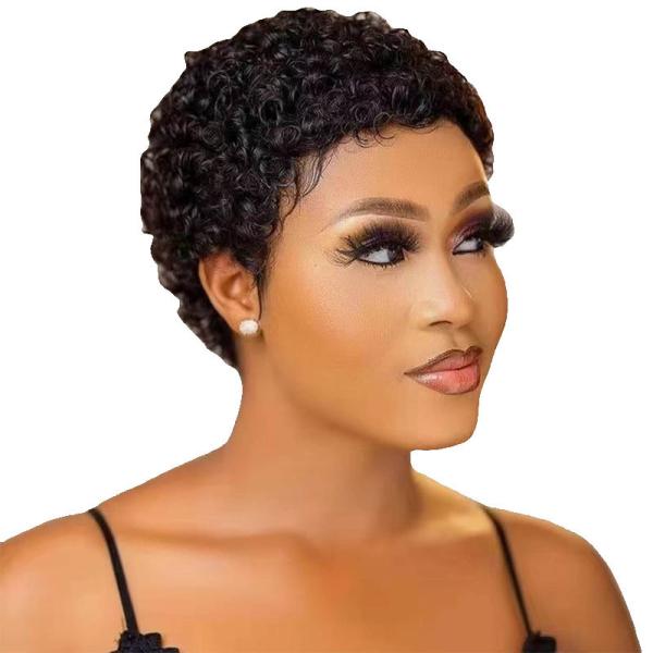 Afro Kinky Curly Short Human Hair Machine Made Wigs for Men Brazilian Hair