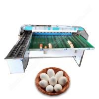 Egg Weight Grade Chicken Egg Sorting Machine 4000pcs/H Egg Grader 304 Stainless Steel