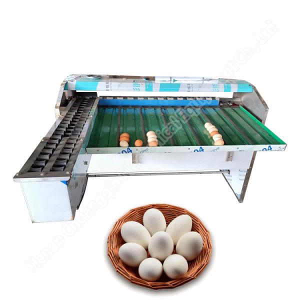 Egg Weight Grade Chicken Egg Sorting Machine 4000pcs/H Egg Grader 304 Stainless Steel
