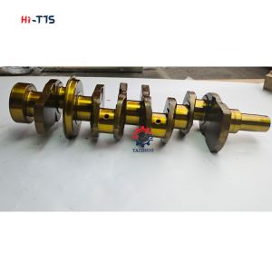 Hi-TTS Diesel Engine Alloy Crankshaft A2300 4900795 4900930 4900899 4900710 4900228 for Forklift D20S/D25S/D30S