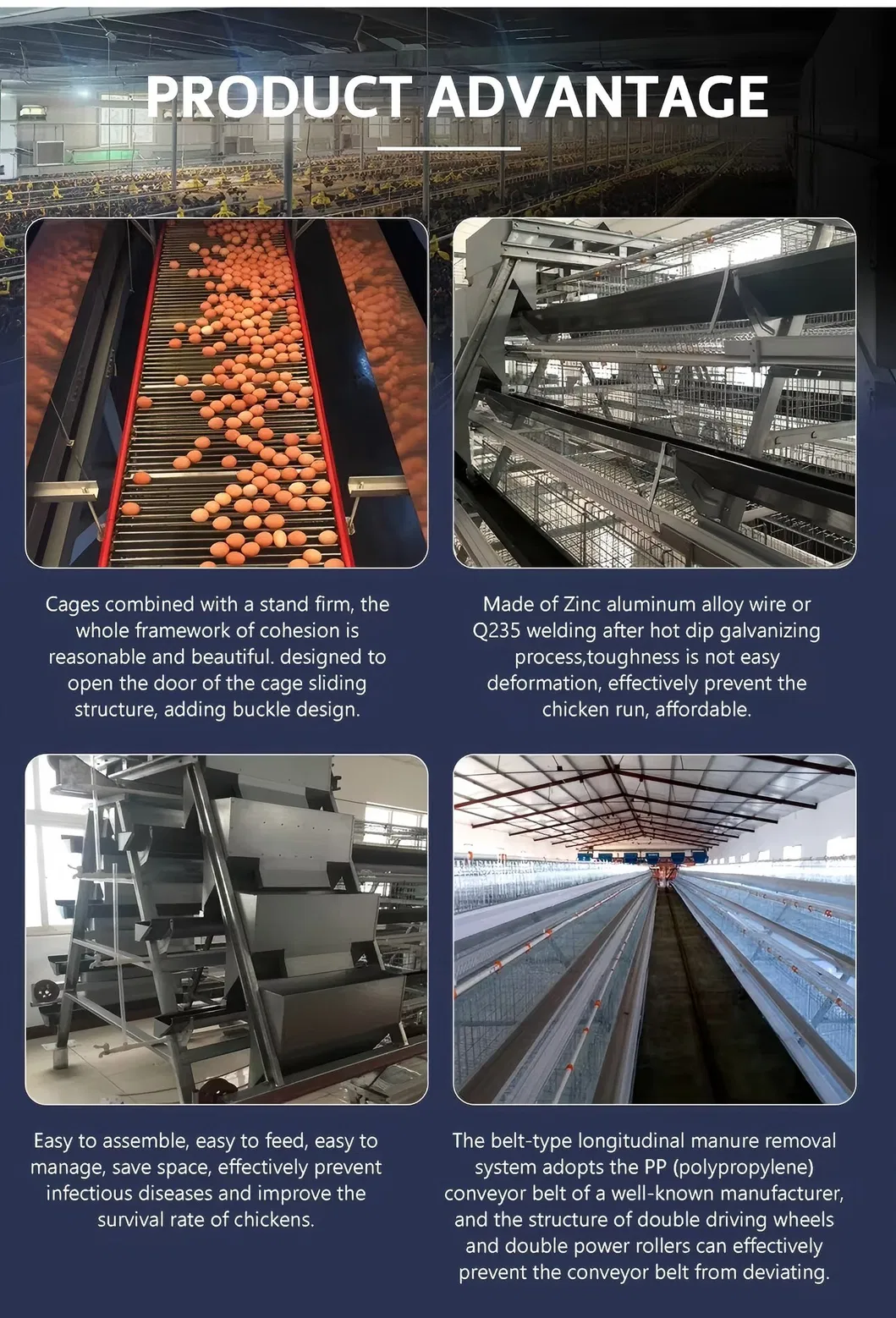 Poultry Farm Chicken Coop House A Type Hot Dipped Galvanized Layer Cage