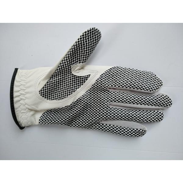 golf glove , golf gloves , glove , gloves