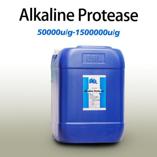 Leather Industry Alkaline Protease Powder 37071 50000u/G-1500000u/G