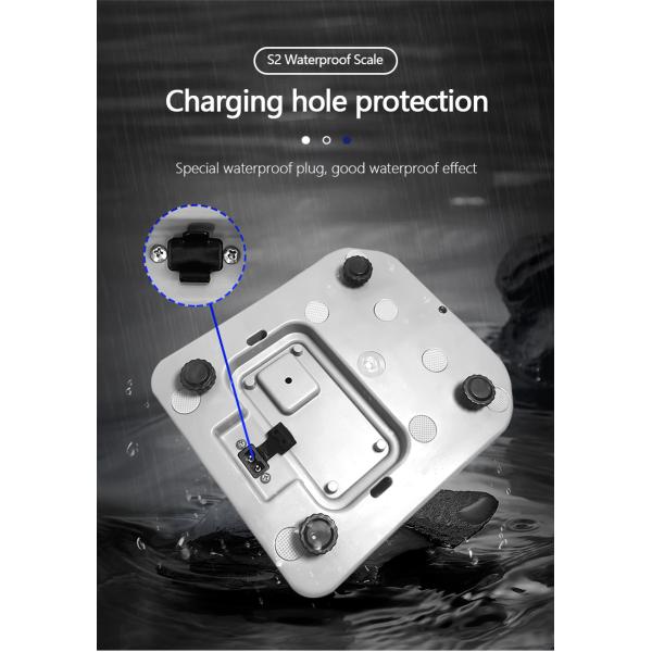 Product Idea 2024 304 Stainless Steel Balance Scale 6KG Maximum Range Unit lb oz g