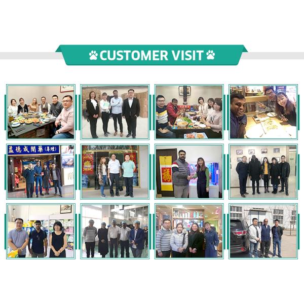 На заказ черный кукурузный крахмал полностью компостируемый одноразовый биоразлагаемый пакет для собак