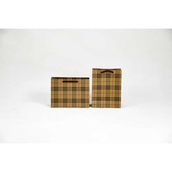 5Kg Weight Capacity Kraft Shopping Paper Bags  Eco Friendly Packaging Recycled