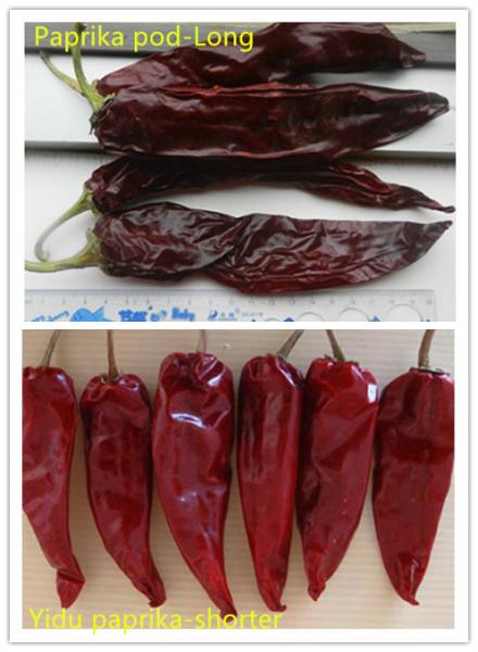 Sun Dried Chilli Pepper Sweet Paprika Pepper With 1% Impurity 7-19cm