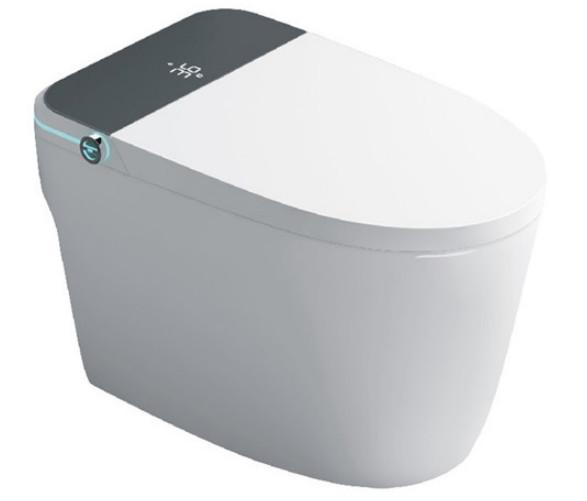Siphonic Intelligent Toilet Ceramic Bowl  Top Standing High Tech  Modern Smart Toilet