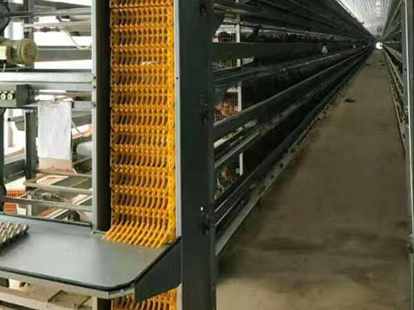 Detachable Steel Frame Chicken Coop Pre Engineered Steel Structure Farm House