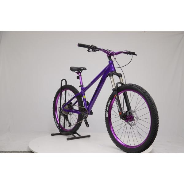 Experience the Freedom of Mountain Biking with Sports Mountain Bike 8/9 Speeds Dirt Jumper MTB