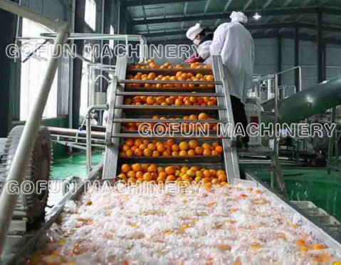 Полностью готовый проект на технологическая линия соуса томатной пасты 2 лет срока годности при хранении