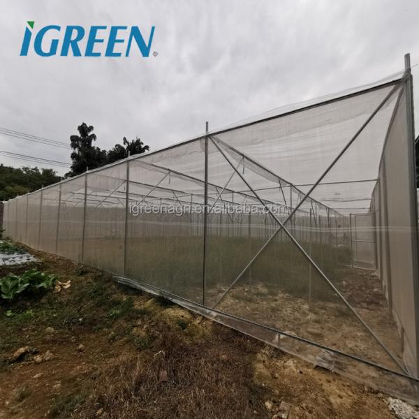 Multi Span Shade Net Greenhouse Rustproof For Strawberry And Mushroom