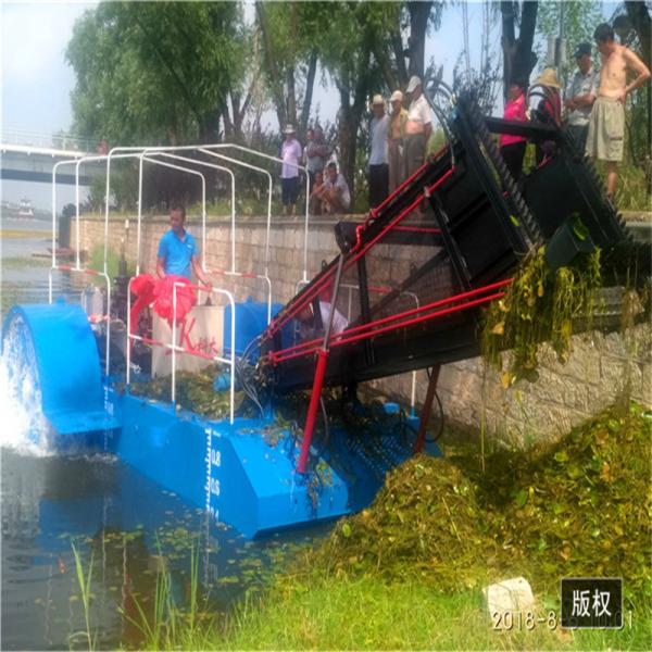 Reed Mower 3M3 Weed Harvester Boat Motorized Lake Weed Cutter