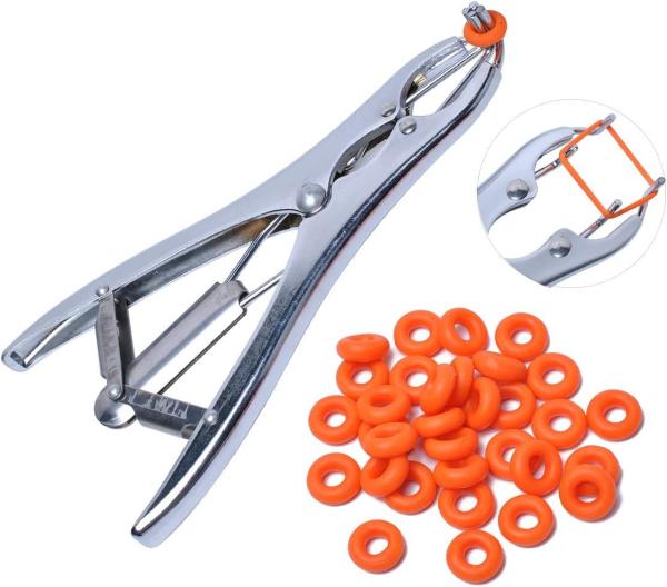 Latex Livestock Castration Bander , 100Pcs Castrator Rings Balloon Expander Pliers