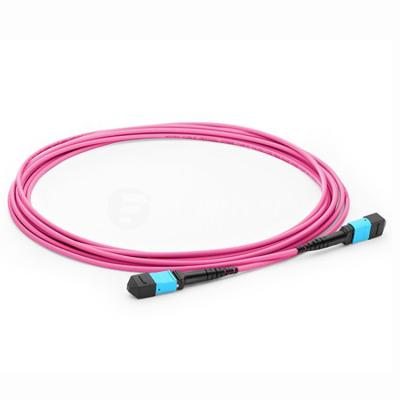 corde de correction optique pourpre de fibre du câble 12 de tronc de produits de 10G OM4 MPO IL
